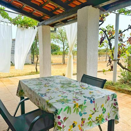 Apartments Jan Banjole Εξωτερικό φωτογραφία